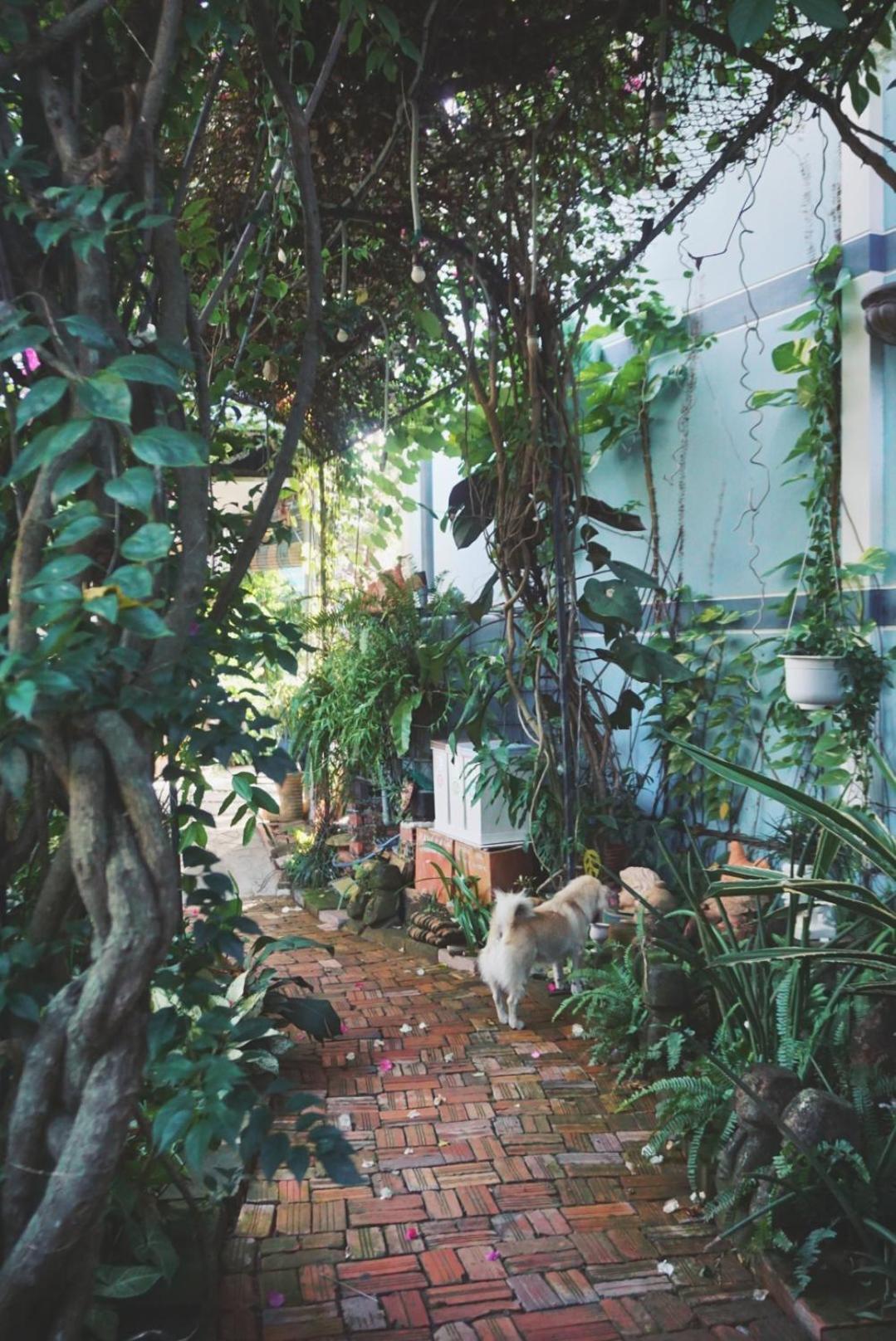 Mekong Pottery Homestay, Green-Friendly & Boat Tour Vĩnh Long Zewnętrze zdjęcie
